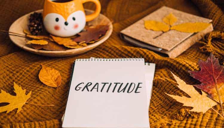 Understanding Gratitude: How Traditions Foster Correctly-Being