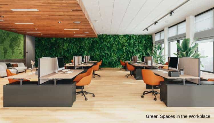 Psychological Advantages of Inexperienced Areas contained in the Office