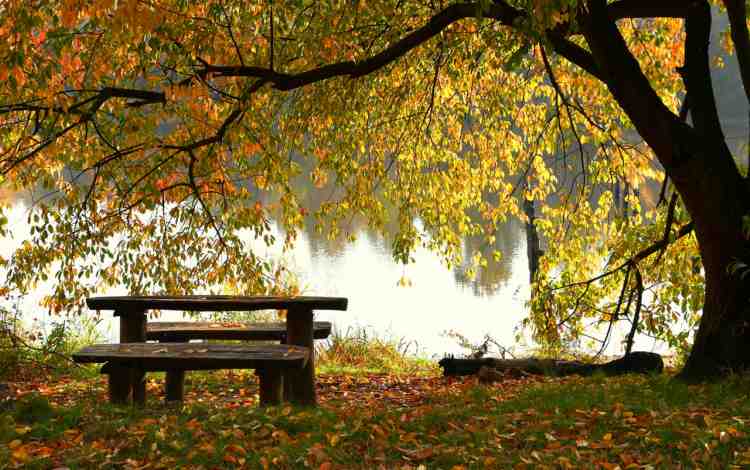 Why and How Is Mindfulness Meditation Good for Your Successfully being