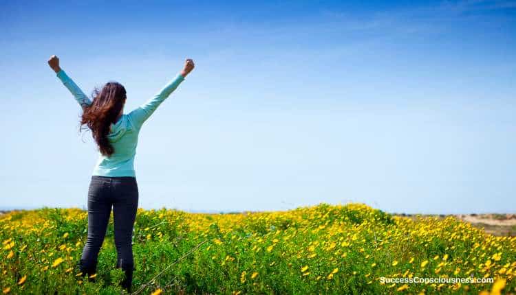 Wellness Function in Personal Success